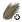 Wolf skin.png