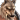 Lycan male.png