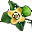 Fișier:Floare Kaki.png