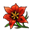 Floarea Roșie.png