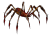 Păianjen Otrăvitor Roșu.png