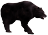 Ursul Negru(Level 6).png