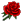 Trandafir (roșu).png