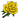 Trandafir (galben).png