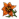 Floarea Portocalie.png