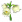 Floare Clopoțel.png
