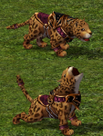 IG-Leopard Cub.png